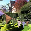 photo9